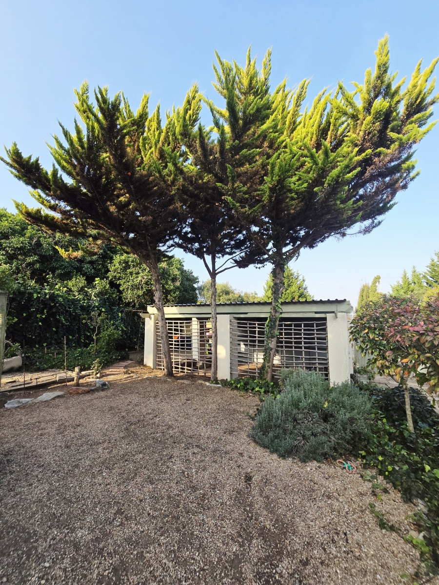 3 Bedroom Property for Sale in Wilderness Central Western Cape